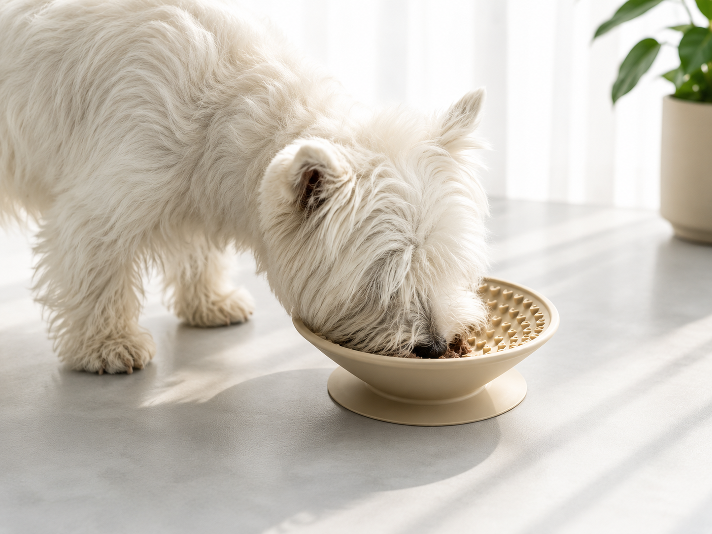 Careypet Slow Feeder lickmat