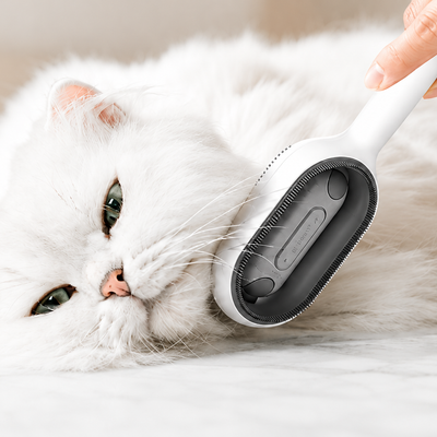 Brush Through Coat